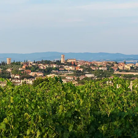 Del Colle - Happy Villa Torgiano